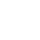 solution-icon-wordpress